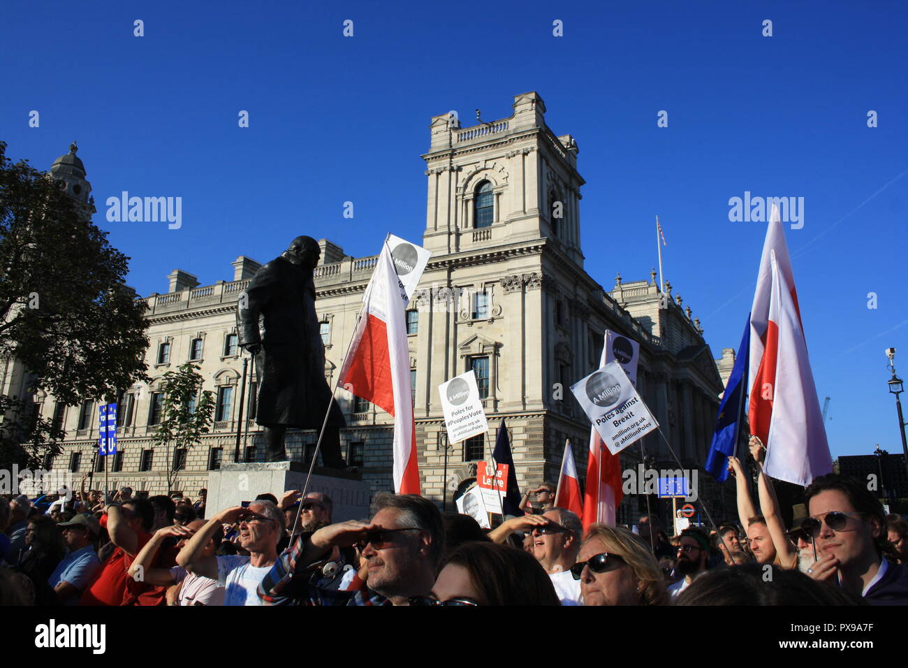 Londra, UK, 20 ottobre 2018. Manifestanti wave bandiere polacche in piazza del Parlamento per il voto popolare marzo contro Brexit, Londra, Regno Unito. Credito: Helen Garvey/Alamy Live News Foto Stock