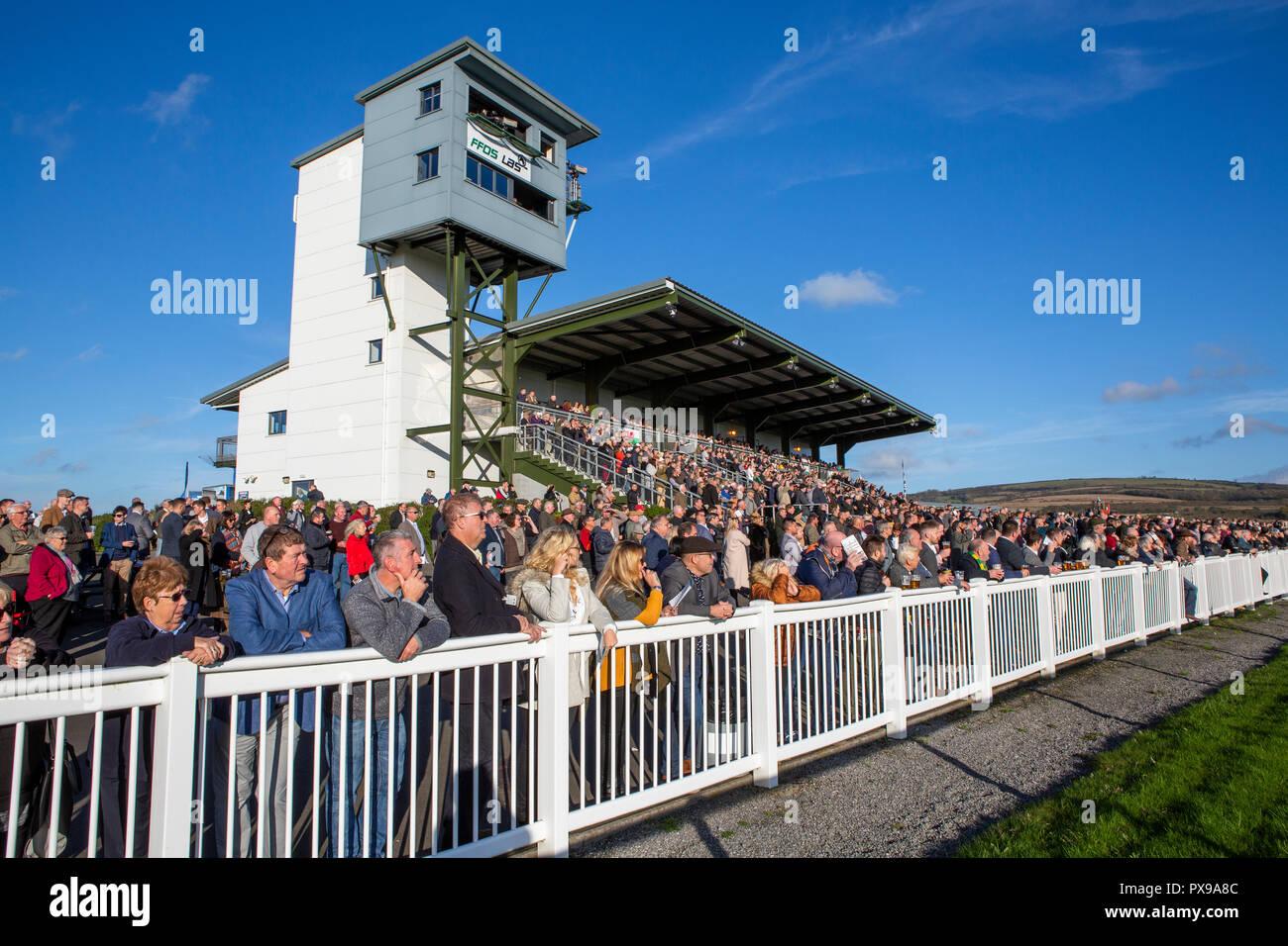 La tribuna piena di spettatori a Ffos Las Racecourse, Trimsaran, Carmarthenshire, Galles. Foto Stock