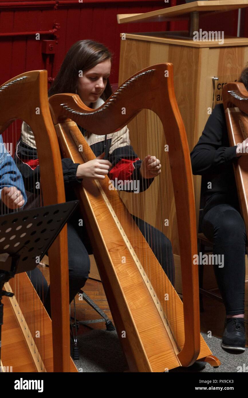 Cork, Irlanda. Xx oct, 2018. Eseguire qui Aoife Aheran. Arpa nazionali giorno/ Lá na Cruite Crawford, Galleria d'arte, la città di Cork. Arpa nazionali giorno/ Lá na Cruite ha avuto luogo oggi con molti eventi in luoghi in tutta la nazione. Crawford Art Gallery è stato uno dei luoghi per ospitare un evento. La galleria ha visto Damhnait Sweeny, Oisin Morrison e Orla Busteed eseguendo così come una varietà di altri harpists che ha giocato in tutta la galleria durante il giorno. Credito: Damian Coleman/Alamy Live News. Foto Stock