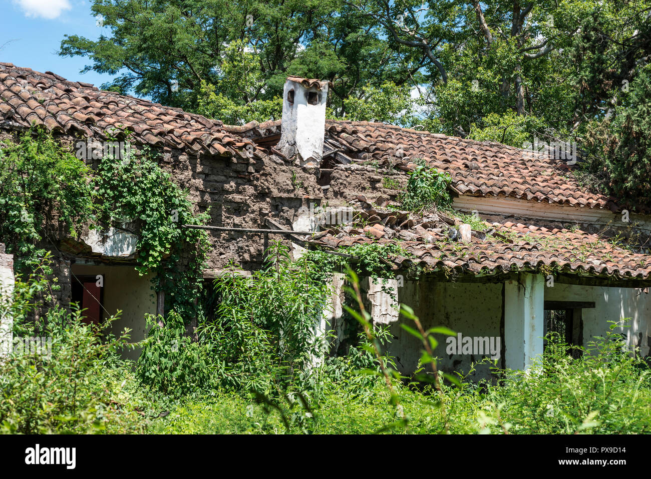 Vecchia casa in rovina, è possibile vedere il tetto. La giungla è in fase di avvio per coprire Foto Stock