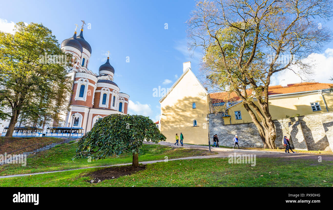 Cattedrale di Alexander Nevski, Tallinn in Estonia Foto Stock