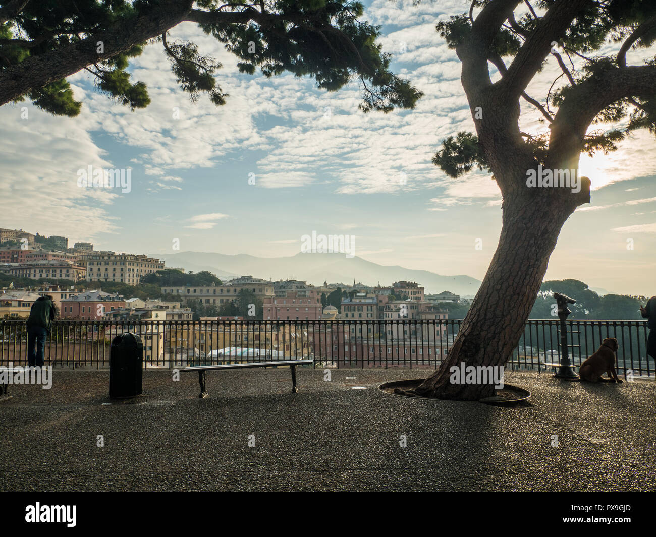 Genova, una città portuale nella regione Liguria. Guardando attraverso i tetti della città dal punto di vista Spianata Castelletto Foto Stock