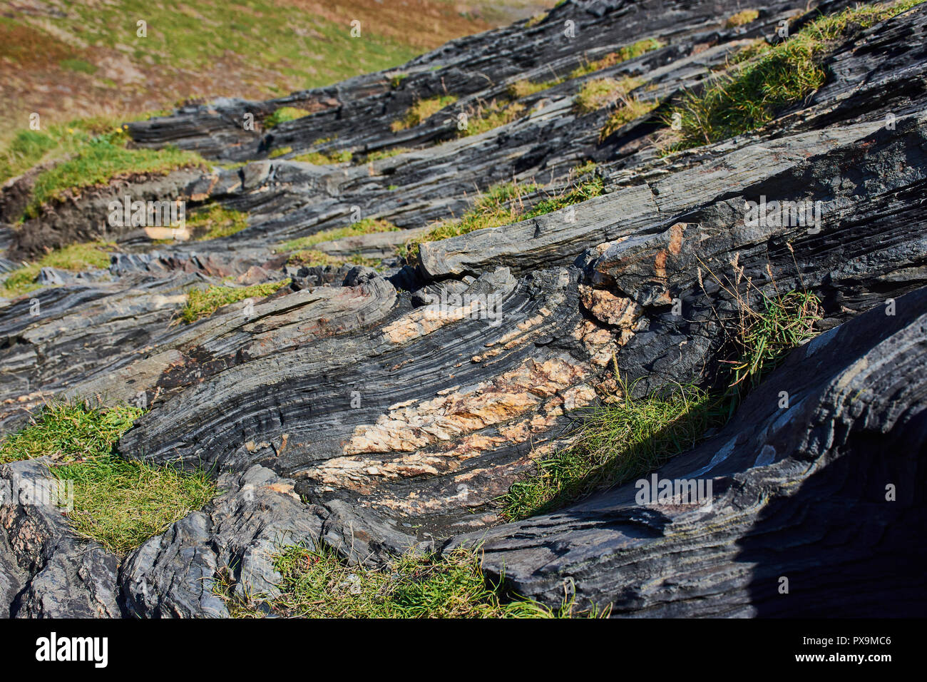 Tipiche rocce di ardesia in North Cornwall vicino Boscastle Foto Stock