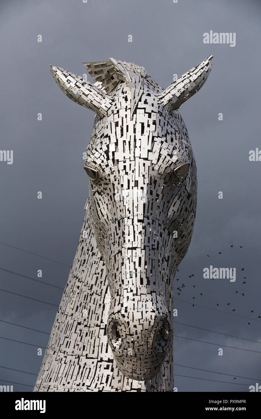 Il Kelpies, acciaio sculture dell'artista Andy Scott all'elica, a Falkirk, Scozia, con un branco di storni. Foto Stock