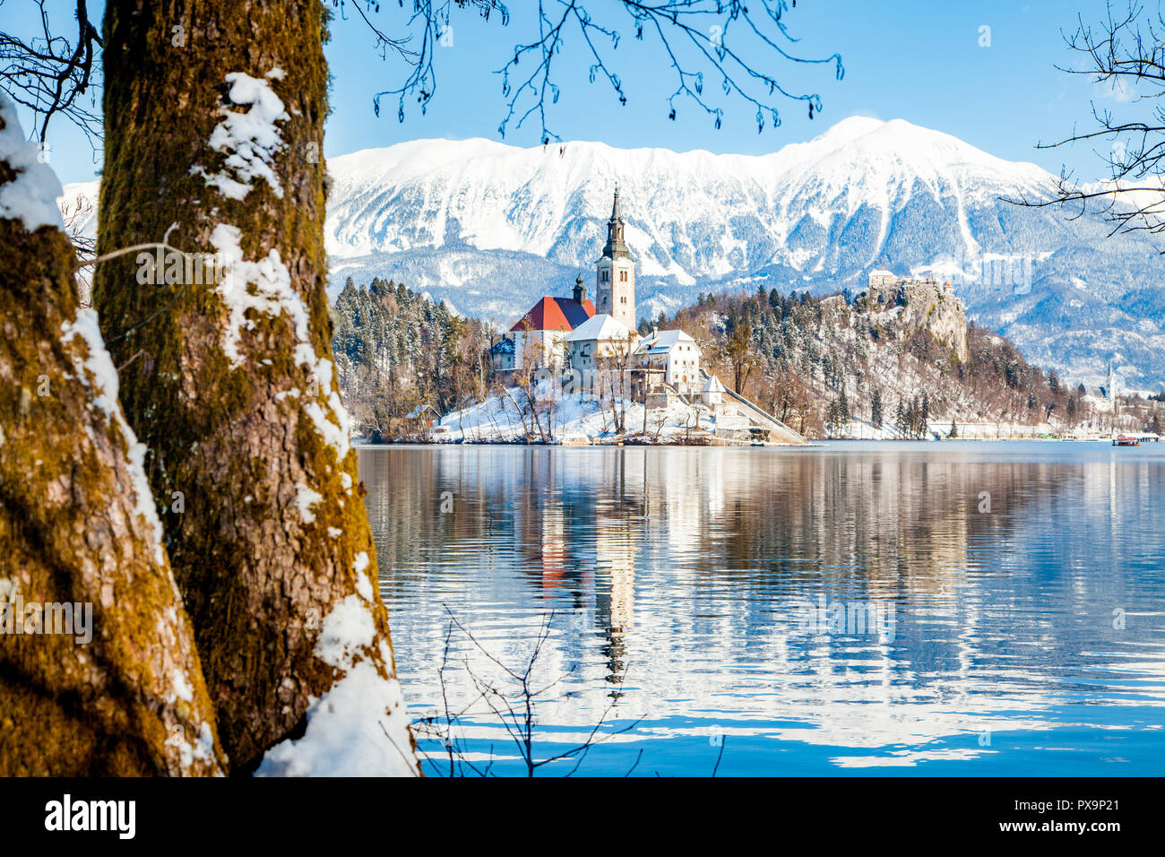 Bellissima vista della famosa isola di Bled (Blejski Otok) presso il pittoresco lago di Bled con il castello di Bled (Blejski grad) e Alpi Giulie in background in golden mo Foto Stock