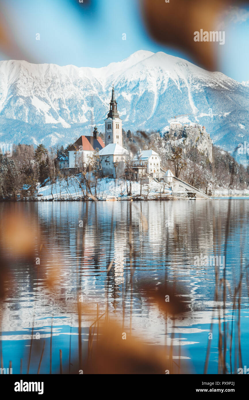 Bellissima vista della famosa isola di Bled (Blejski Otok) presso il pittoresco lago di Bled con il castello di Bled (Blejski grad) e Alpi Giulie in background in golden mo Foto Stock