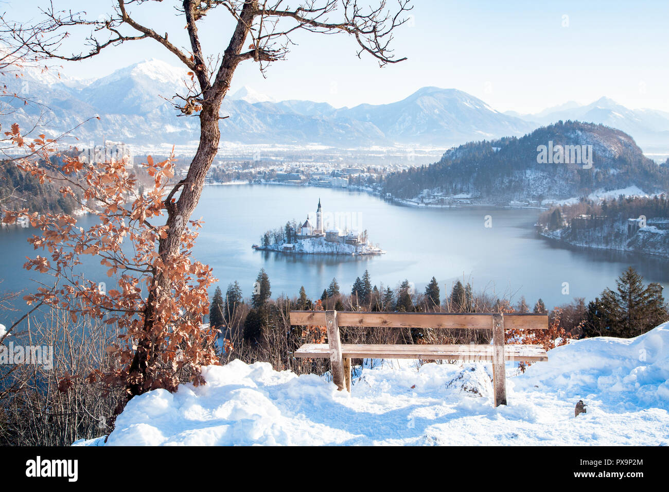 Bellissima vista del banco di legno affacciato sul famoso Lago di Bled con isola di Bled e sulle Alpi Giulie in background all'alba in inverno, Slovenia Foto Stock