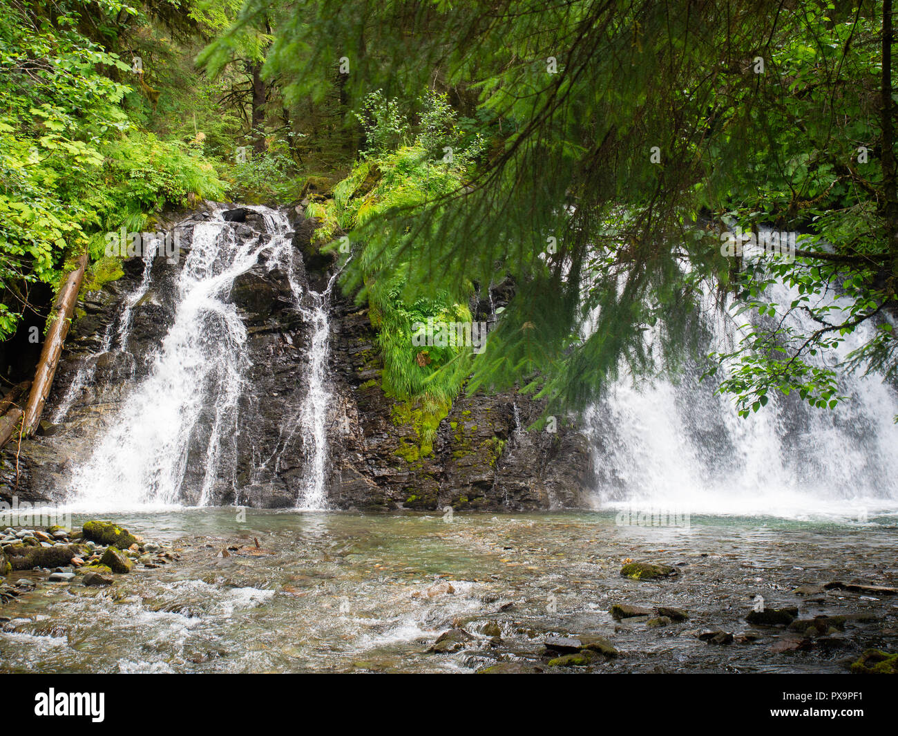 Una piccola cascata in una foresta Foto Stock