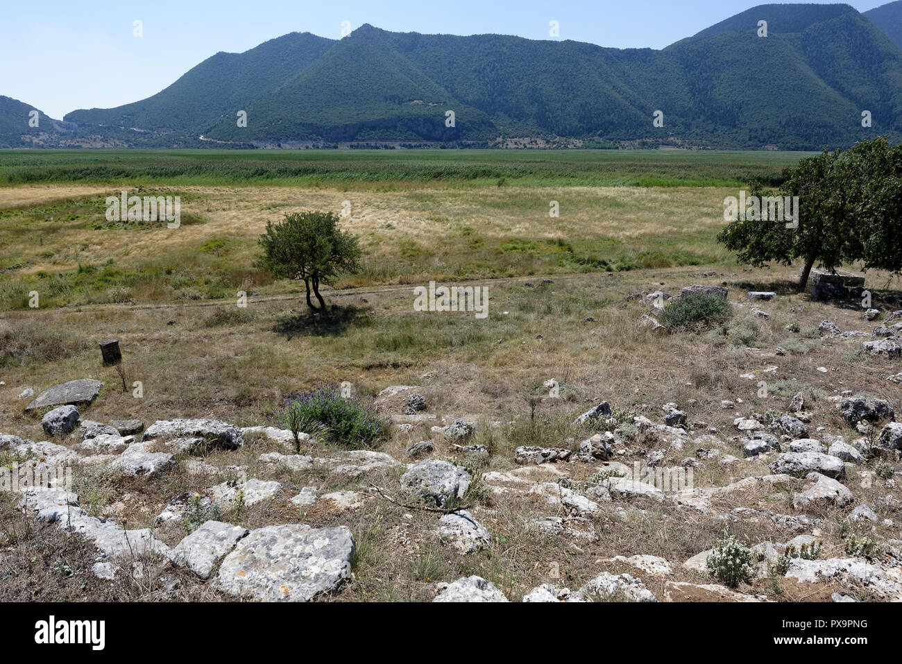 Vista dei resti del teatro con sedili tagliati nella roccia calcarea. La città bassa, antica Stymphalos. Stymphalia. Peloponneso. La Grecia. Foto Stock