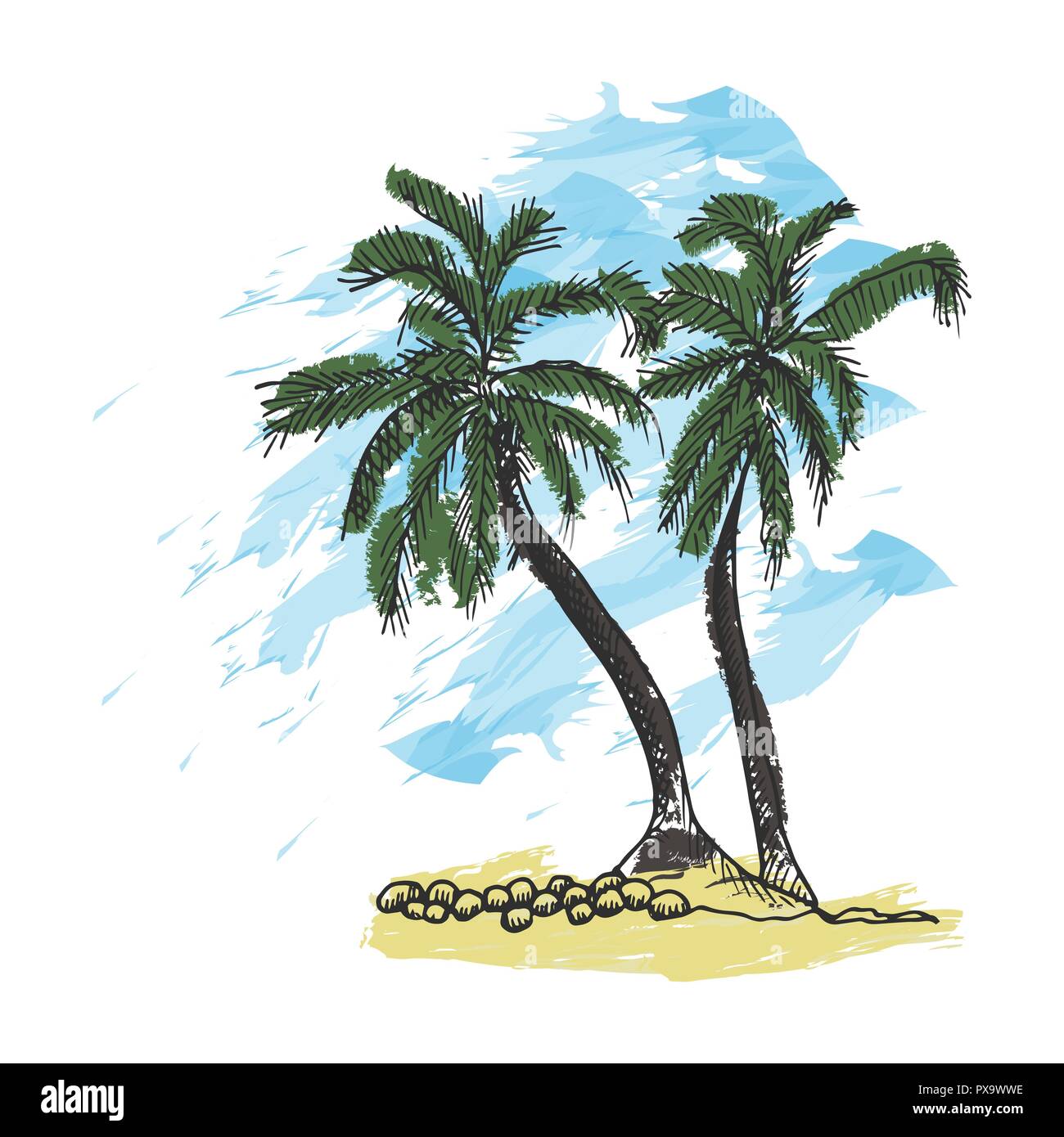 Palme e cielo blu. Tropical Beach mano bozzetto. Illustrazione Vettoriale