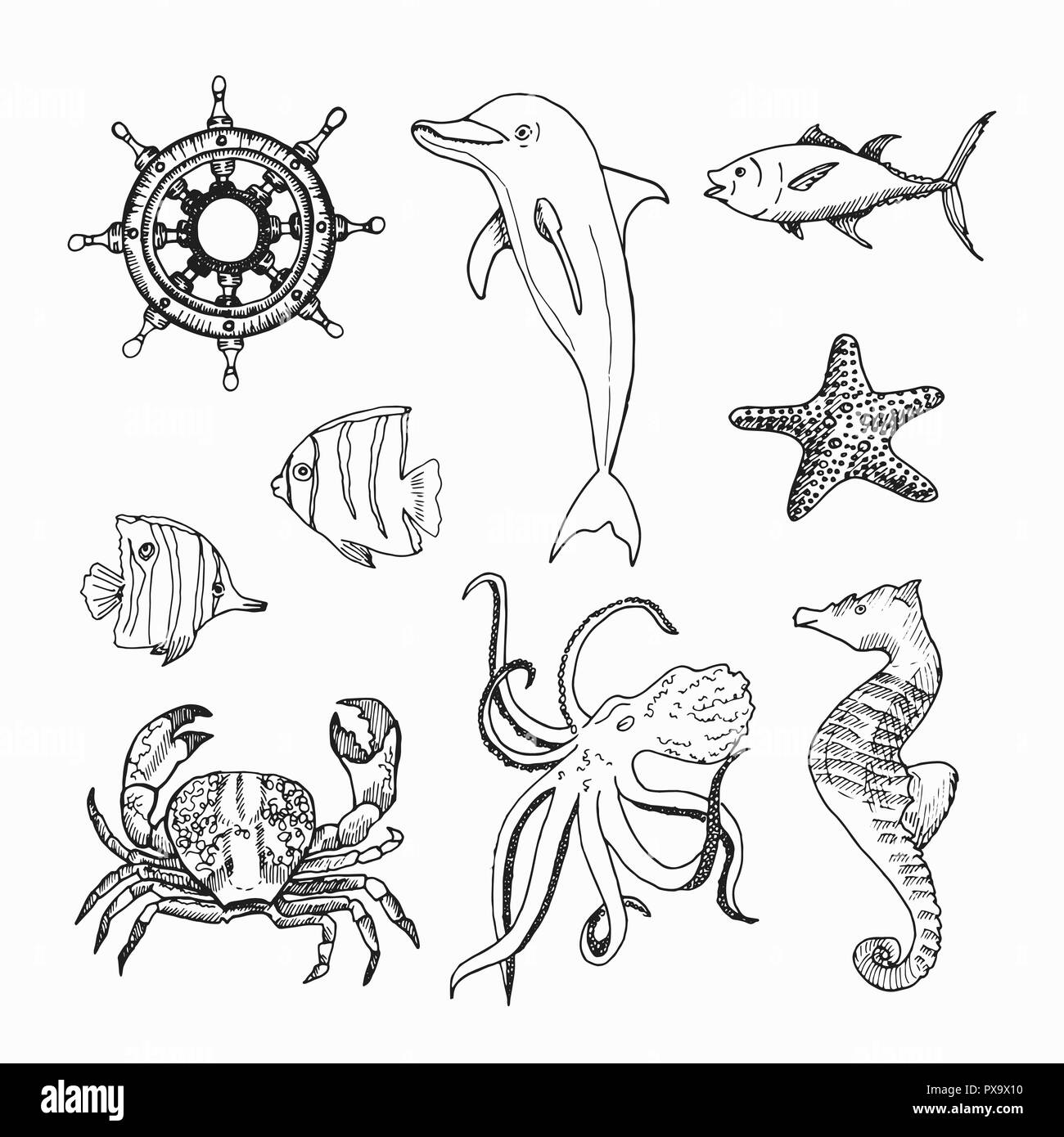 Argomento marino disegnati a mano elementi. La vita subacquea elementi per il tuo design. Creature del mare isolato su sfondo bianco. Illustrazione Vettoriale