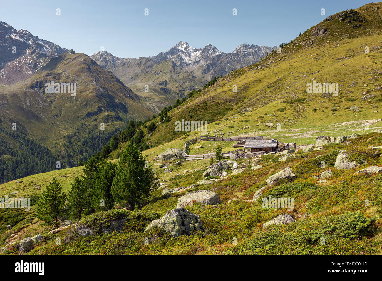 Valle alpina di Debanttal. Osttirol. Schobergruppe. Nationalpark Hohe Tauern. Alpi Austriache. Europa. Foto Stock