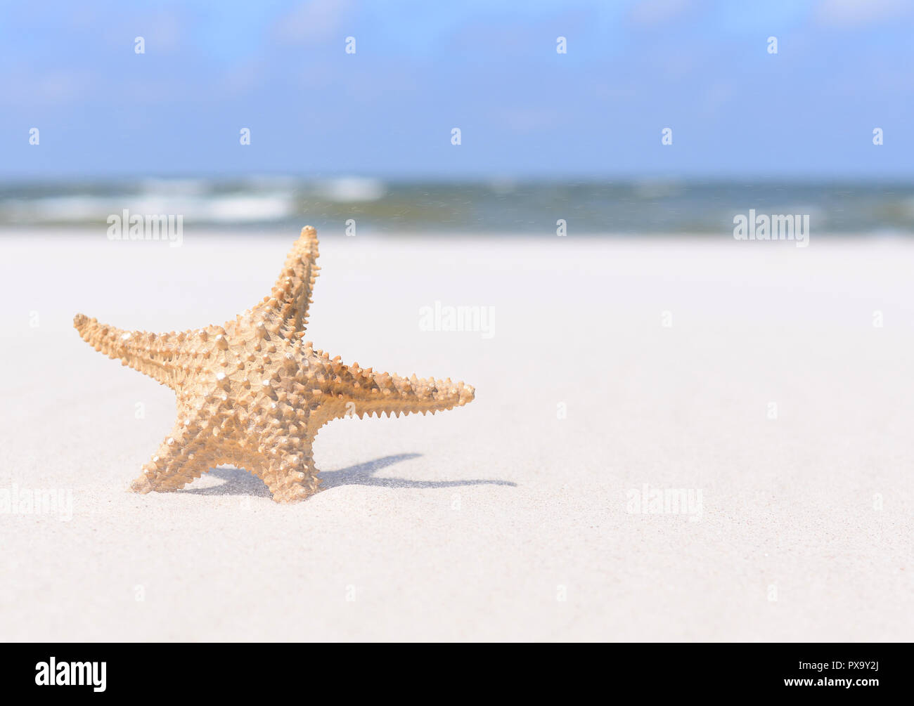 Estate sfondo. Starfish sulla sabbia e cielo blu. Foto Stock