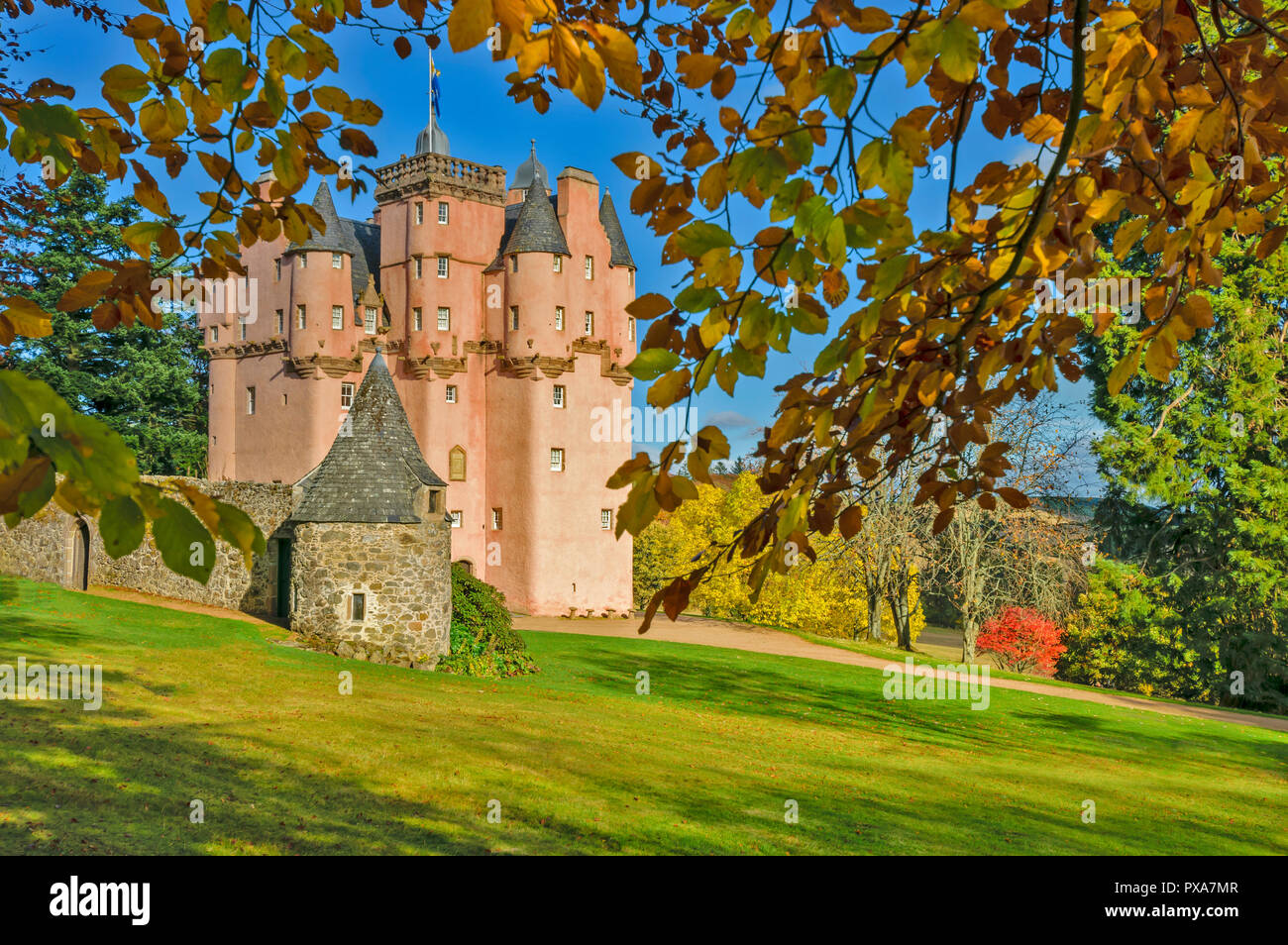 Rosa Craigievar Castle in autunno con giallo e marrone faggio lascia Foto Stock