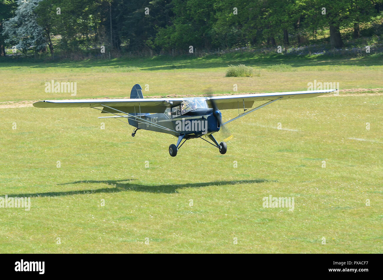 Austera J1N piano alfa in atterraggio a Henham Park campagna erba pista di atterraggio per aerei nel Suffolk, Regno Unito. Alberata in pista in erba. G-AIGF Foto Stock