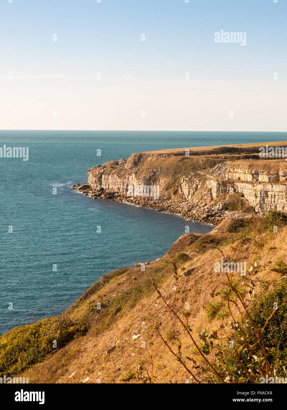 Isola di portland costa Weymouth Dorset paesaggio oceano dello spazio estate natura Jurassic Coast; Dorset; Inghilterra; Regno Unito Foto Stock