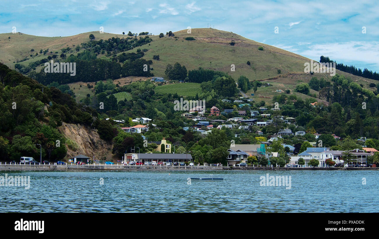 Akaroa Town, Canterbury, Isola del Sud, Nuova Zelanda Foto Stock