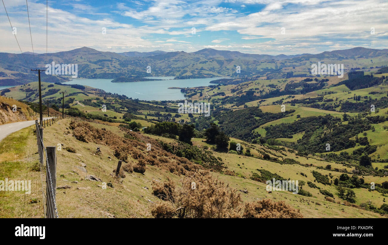 Punto di vista collina nei pressi di Akaroa, Canterbury, Isola del Sud, Nuova Zelanda Foto Stock