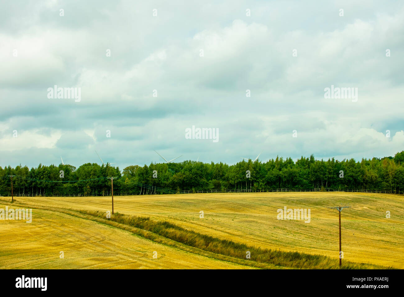 Yorkshire, Regno Unito - 29 AGO 2018: pastorale rurale paesaggio panoramico di Yorkshire vista dal National Rail train Foto Stock