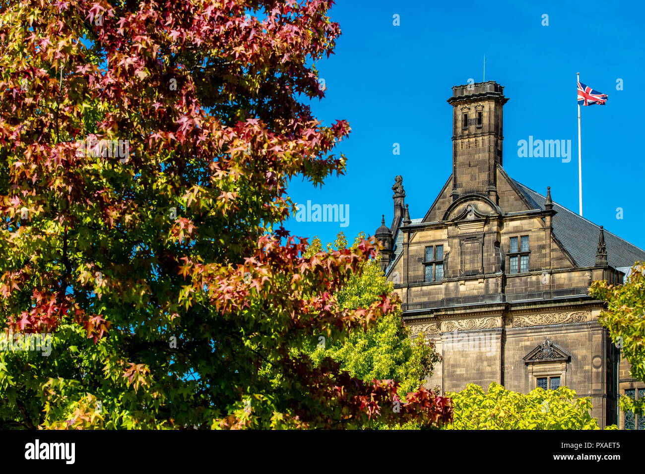 Sheffield, Regno Unito - 30 AGO 2018: Pace giardino pubblico aperto la piazza del municipio e Sheffield Town Hall Foto Stock