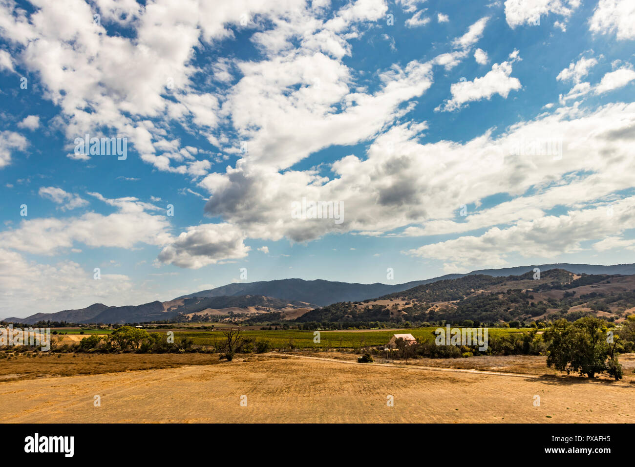 Vigneti e campi coltivati lungo la Santa Ynéz fiume in Solvang, California, Stati Uniti d'America. Foto Stock