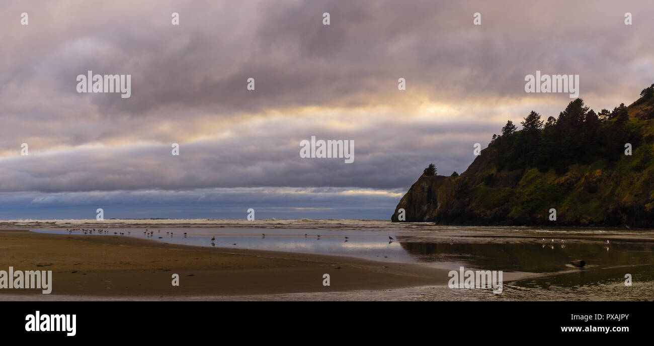 E il drammatico paesaggio panoramico dalla spiaggia di Agata e Yaquina Capo promontorio al crepuscolo, Newport, Pacific Coast, Oregon, Stati Uniti d'America. Foto Stock