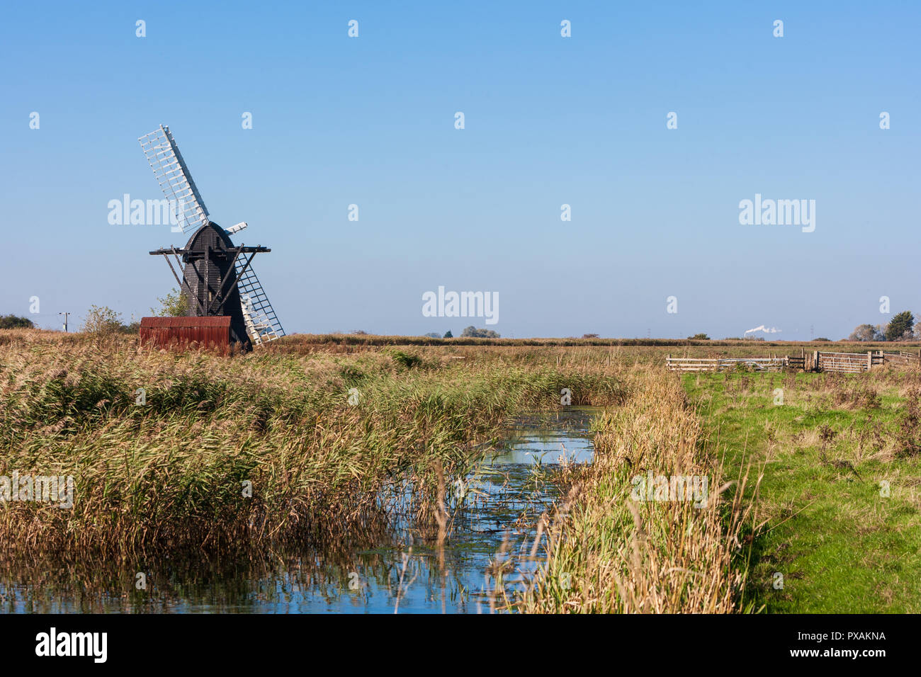 Herringfleet mulino o il camminatore di mulino è un grado II* elencati smock mulino a Herringfleet, Suffolk, Inghilterra, in un cattivo stato di manutenzione con due vele rimosso Foto Stock