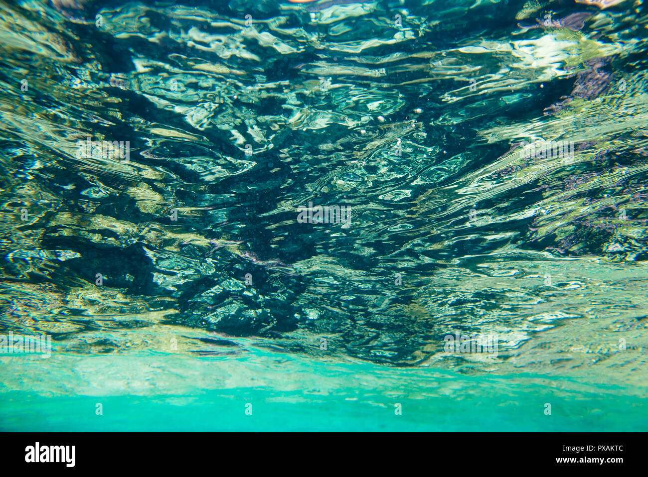 Coral reef del Mar Rosso Foto Stock