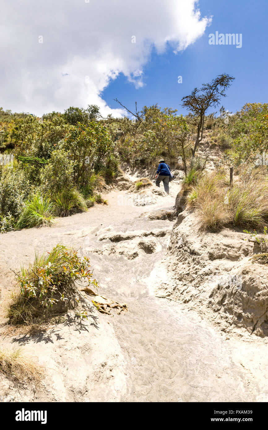 Un escursionista a piedi fino il polveroso sentiero verso la cima di Mount Longonot, Kenya Foto Stock