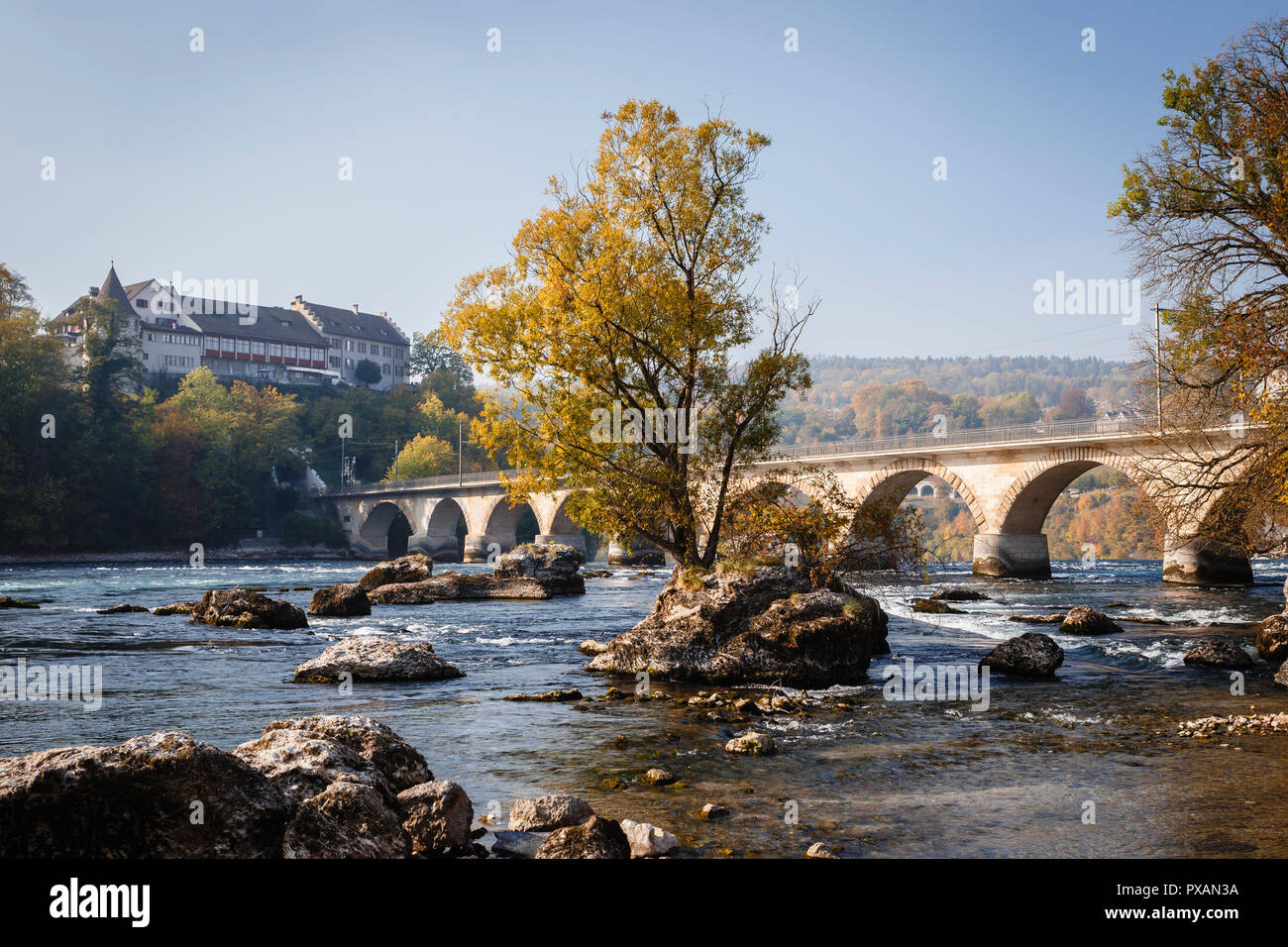 Il fiume Reno presso le cascate del Reno di Neuhausen am Rheinfall, Svizzera Foto Stock