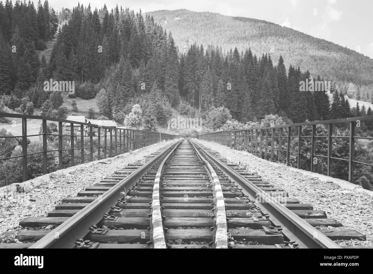 Stazione ferroviaria nelle montagne dei Carpazi Foto Stock