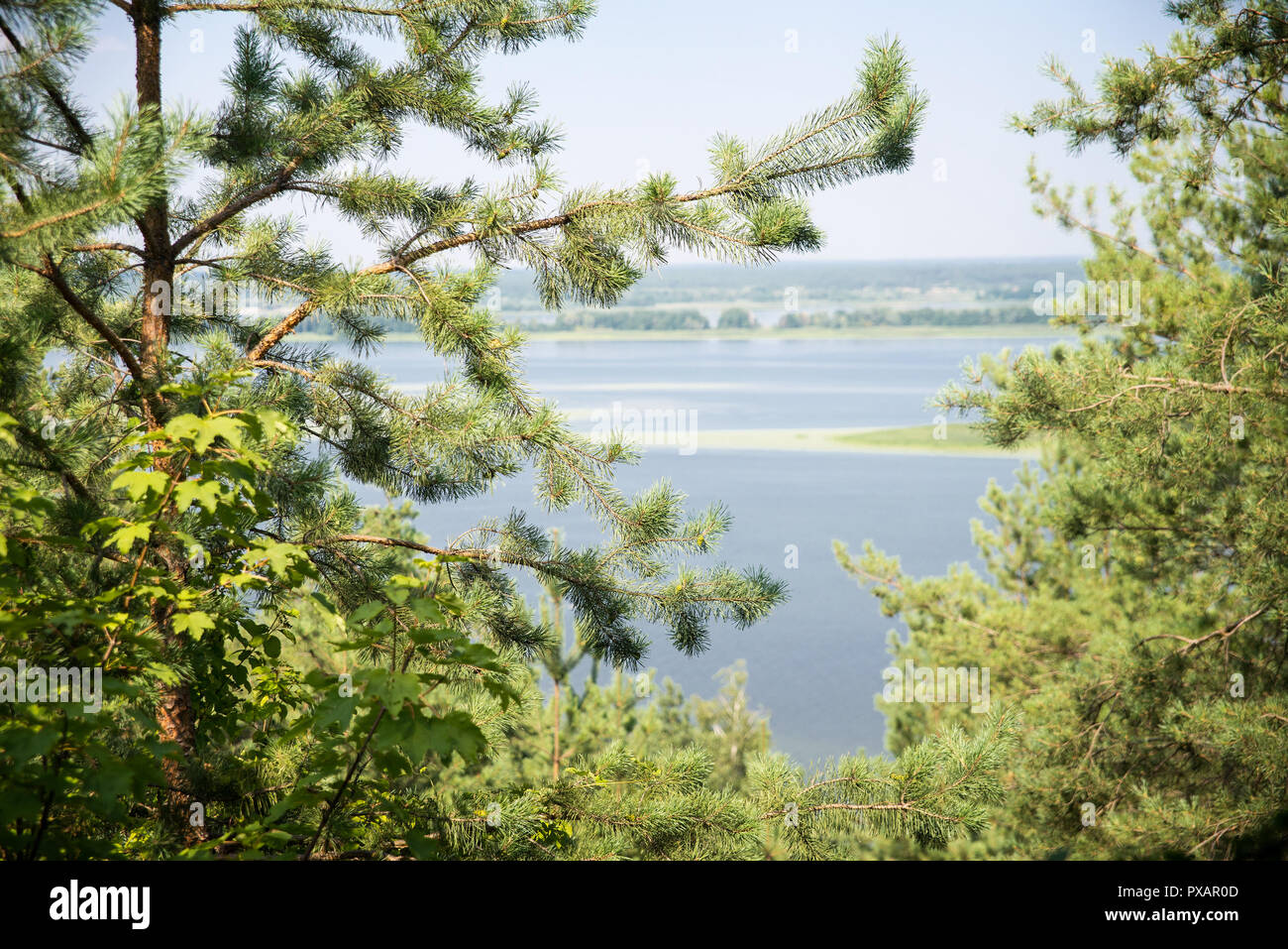 La vista sul fiume Foto Stock