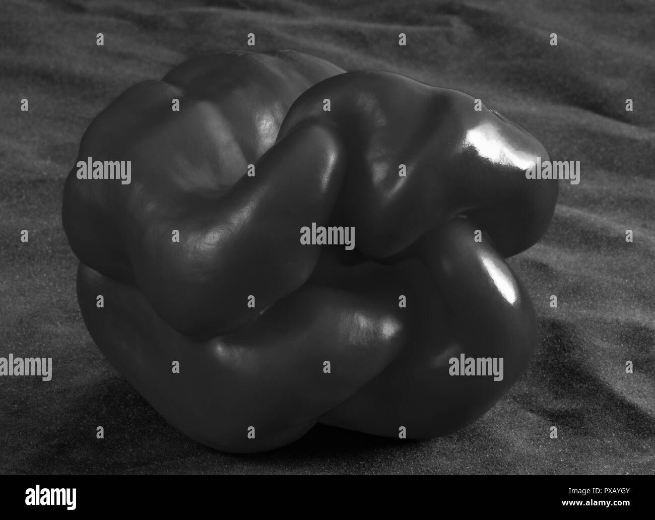 Sweet Pepper con interessanti forme in bianco e nero su sfondo scuro Foto Stock