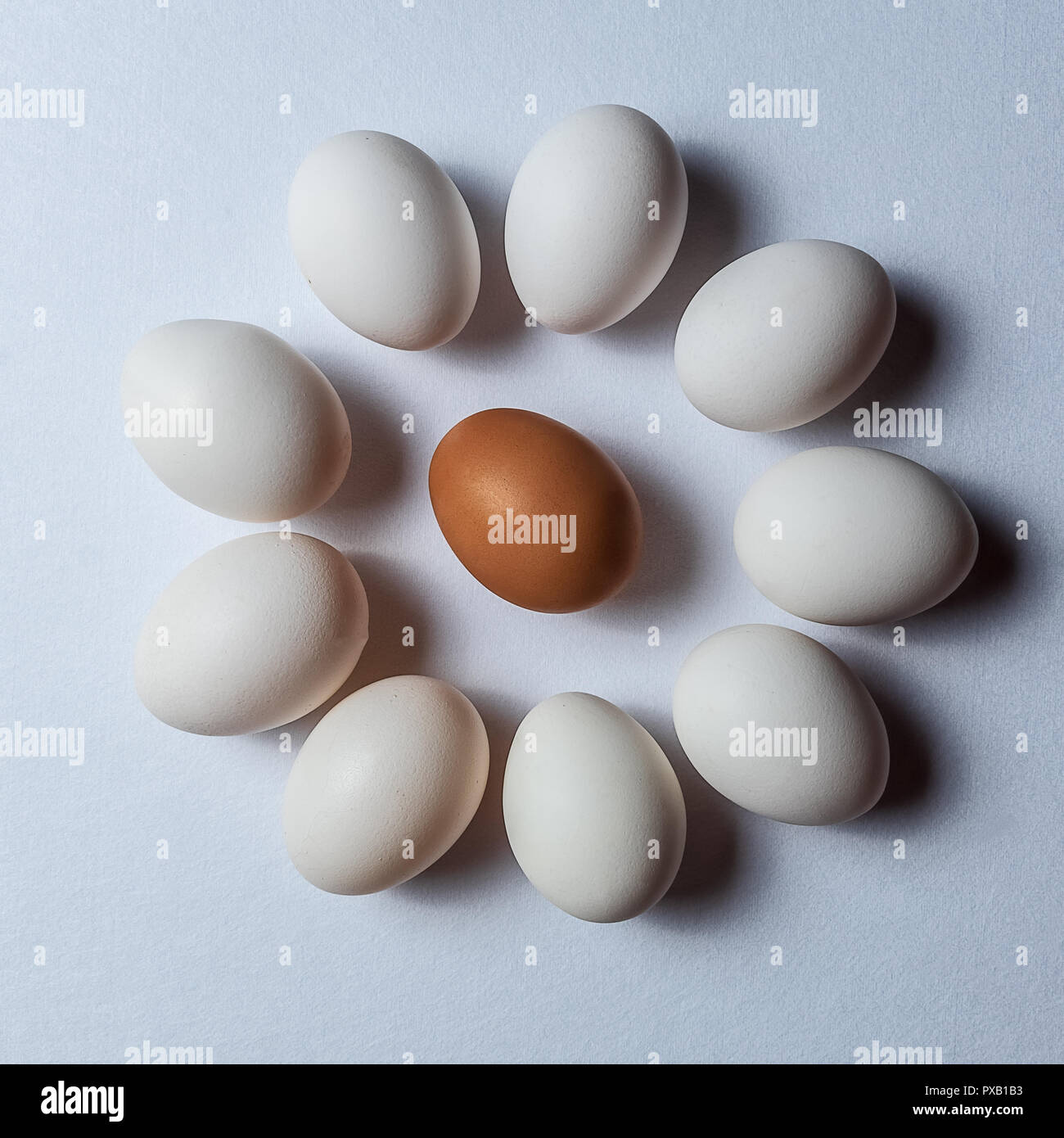 Stile minimalista. Piatto layout laici uovo pattern su sfondo bianco. Foto Stock