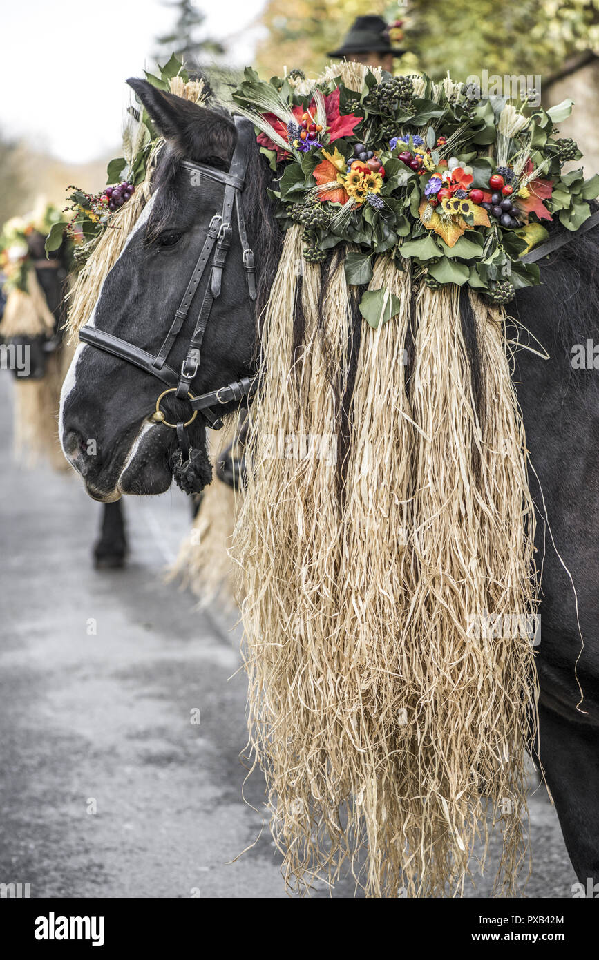 Tradizionale festa Hueter in Perchtoldsdorf, Bassa Austria, area di Vienna, Perchtoldsdorf Foto Stock