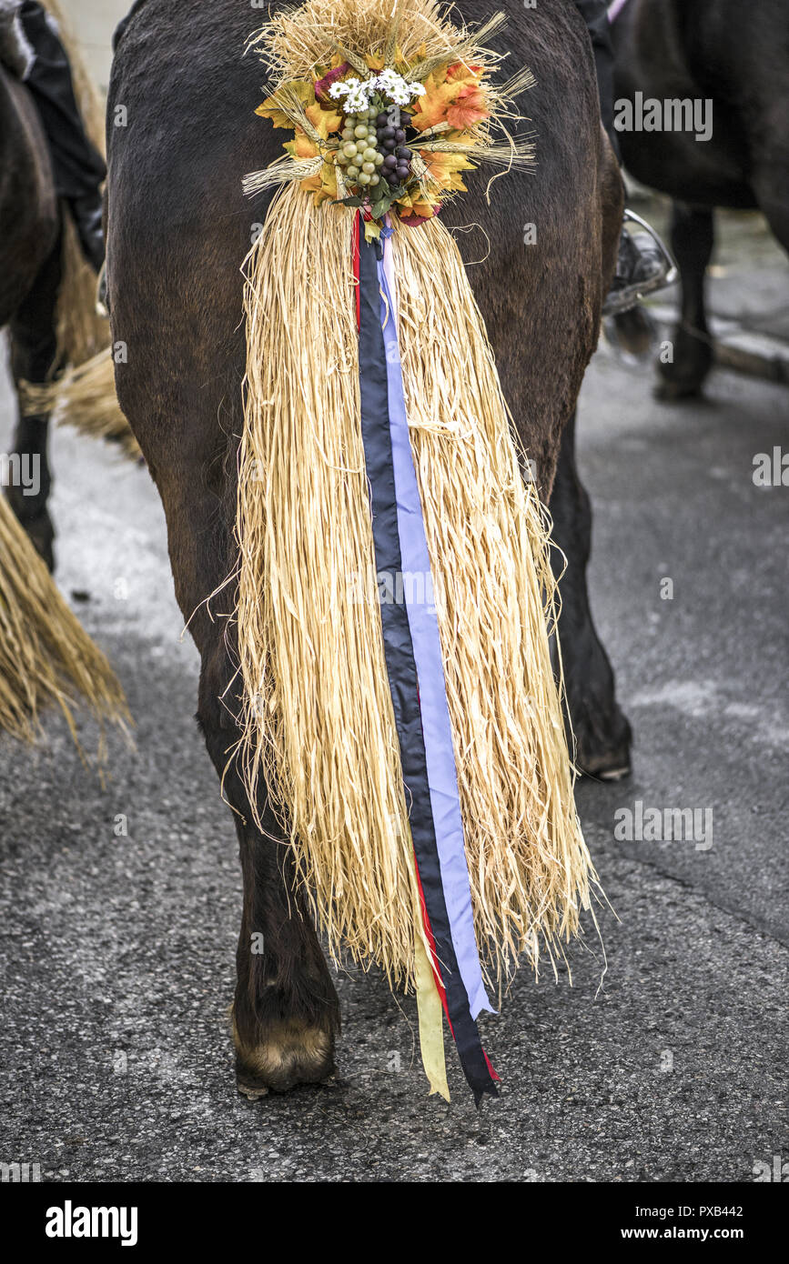 Tradizionale festa Hueter in Perchtoldsdorf, Bassa Austria, area di Vienna, Perchtoldsdorf Foto Stock