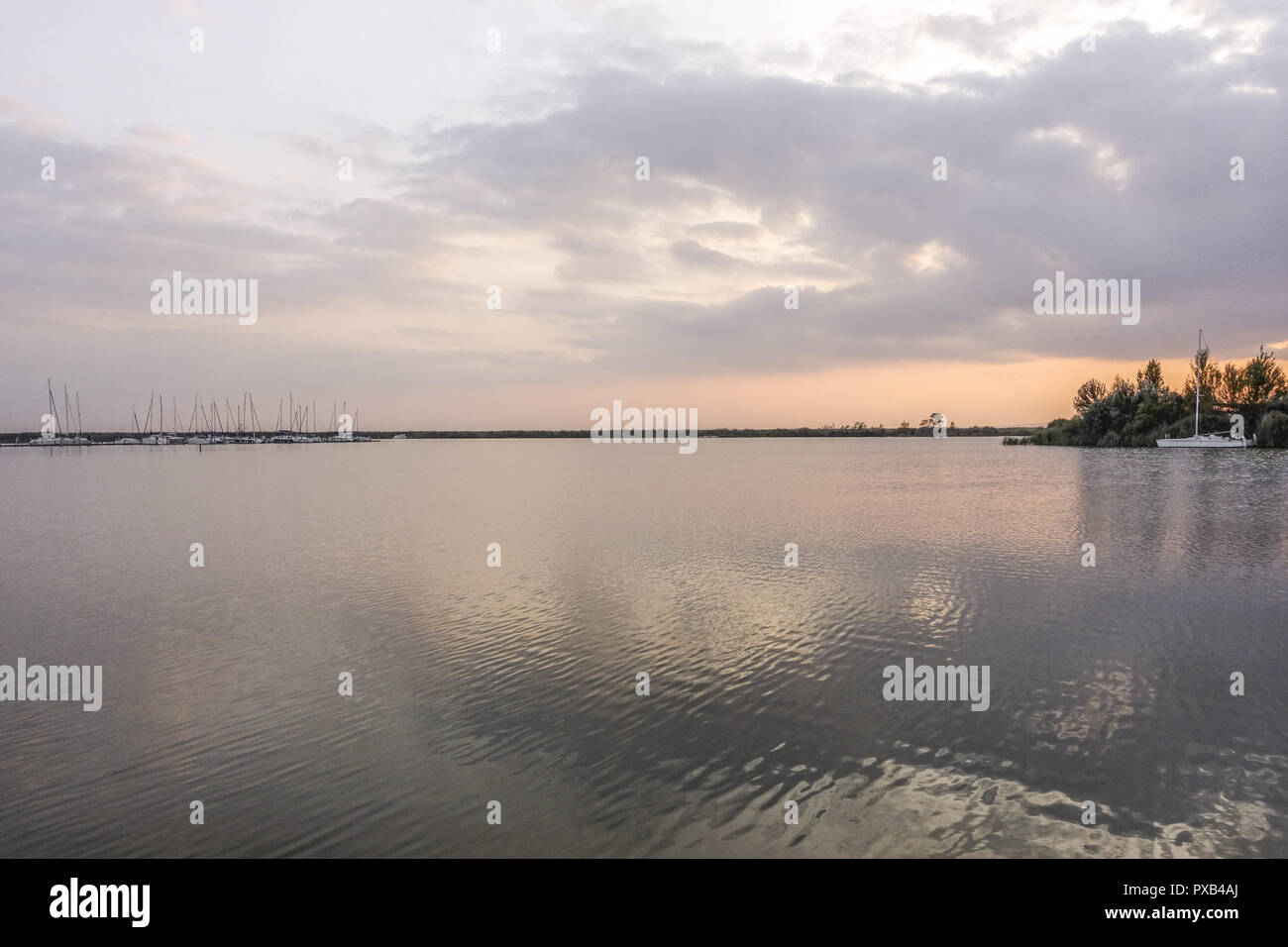 Autunno in azienda vitivinicola borgo di Jois a lago Neusiedler See, Burgenland, Austria, Jois Foto Stock