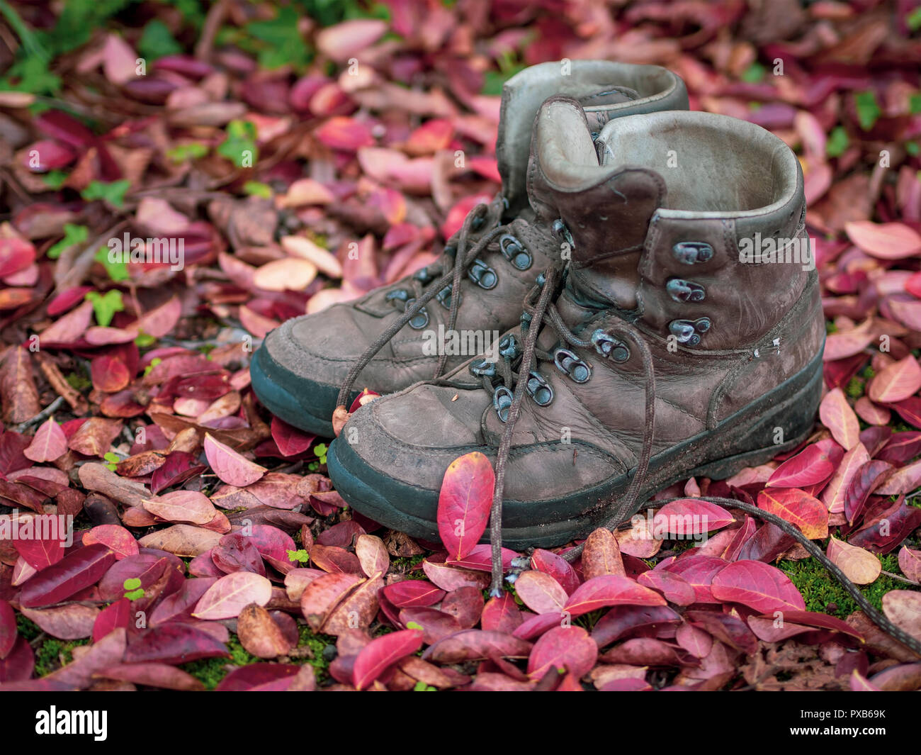 Scarpe da trekking senza marca e ben indossati in autunno autunno