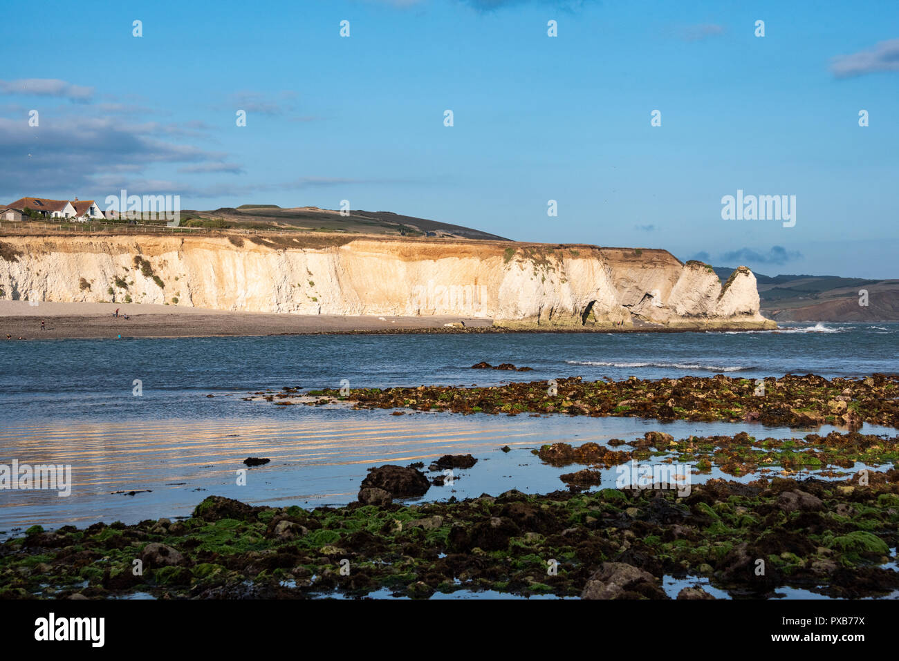 Bassa marea a Baia di acqua dolce, Isola di Wight in Inghilterra Foto Stock