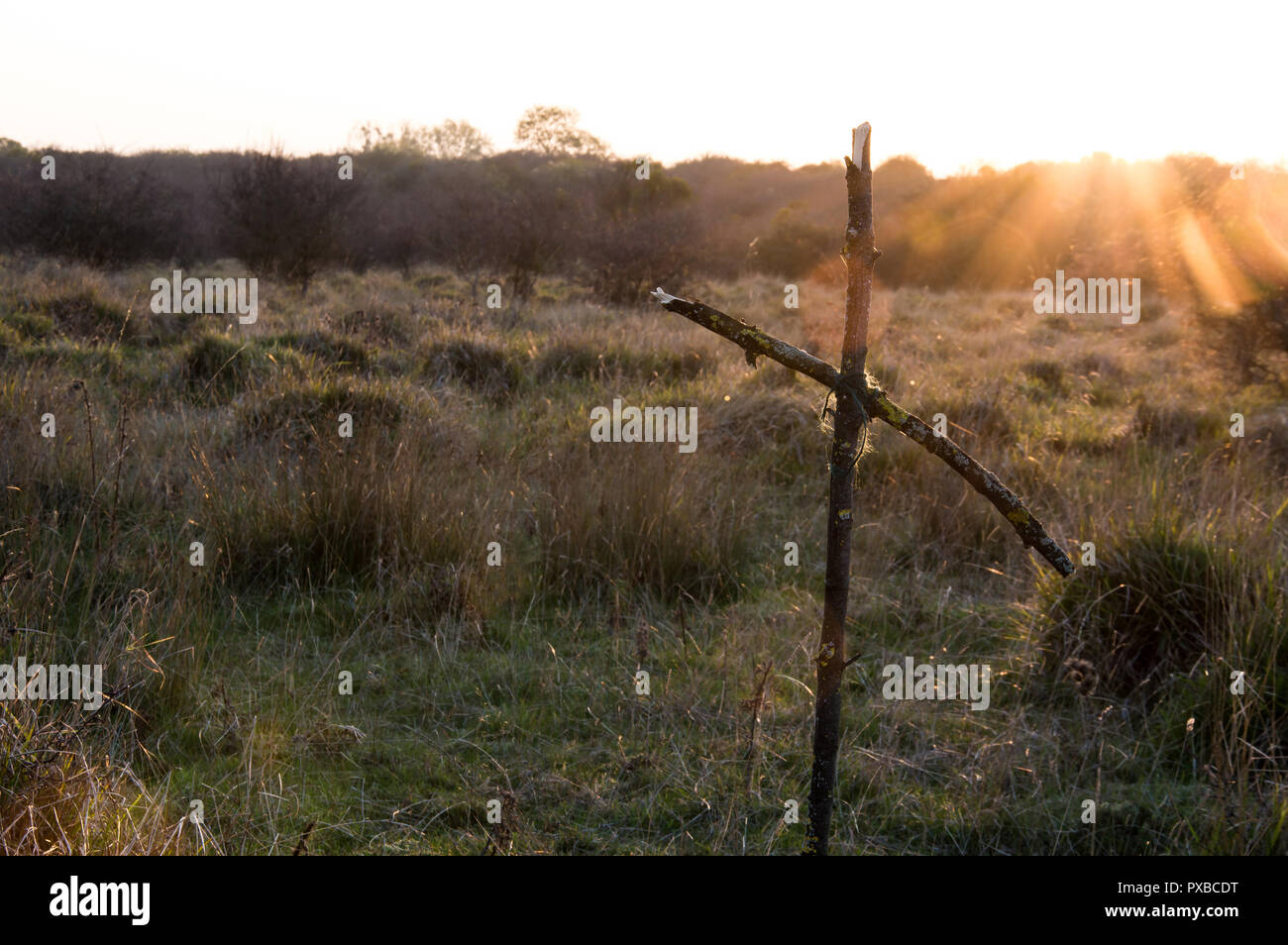 Un spooky croce di legno fatte di rami di alberi in inverno con il sole di setting ed artistico flare sun Foto Stock