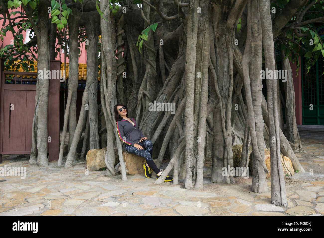 Irene sedersi e gettare il vecchio albero di crescita, l'atmosfera era esultante. Un vantaggio della sua compatta strada medievale piano è che la maggior parte dei siti storici ar Foto Stock