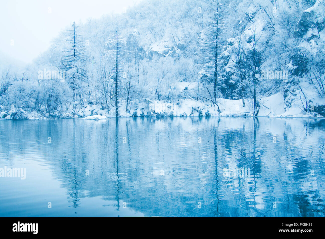 Croazia, Plitvice, riflessione di alberi sotto la neve sul lago nel parco naturale di Plitvicka jezera in inverno Foto Stock