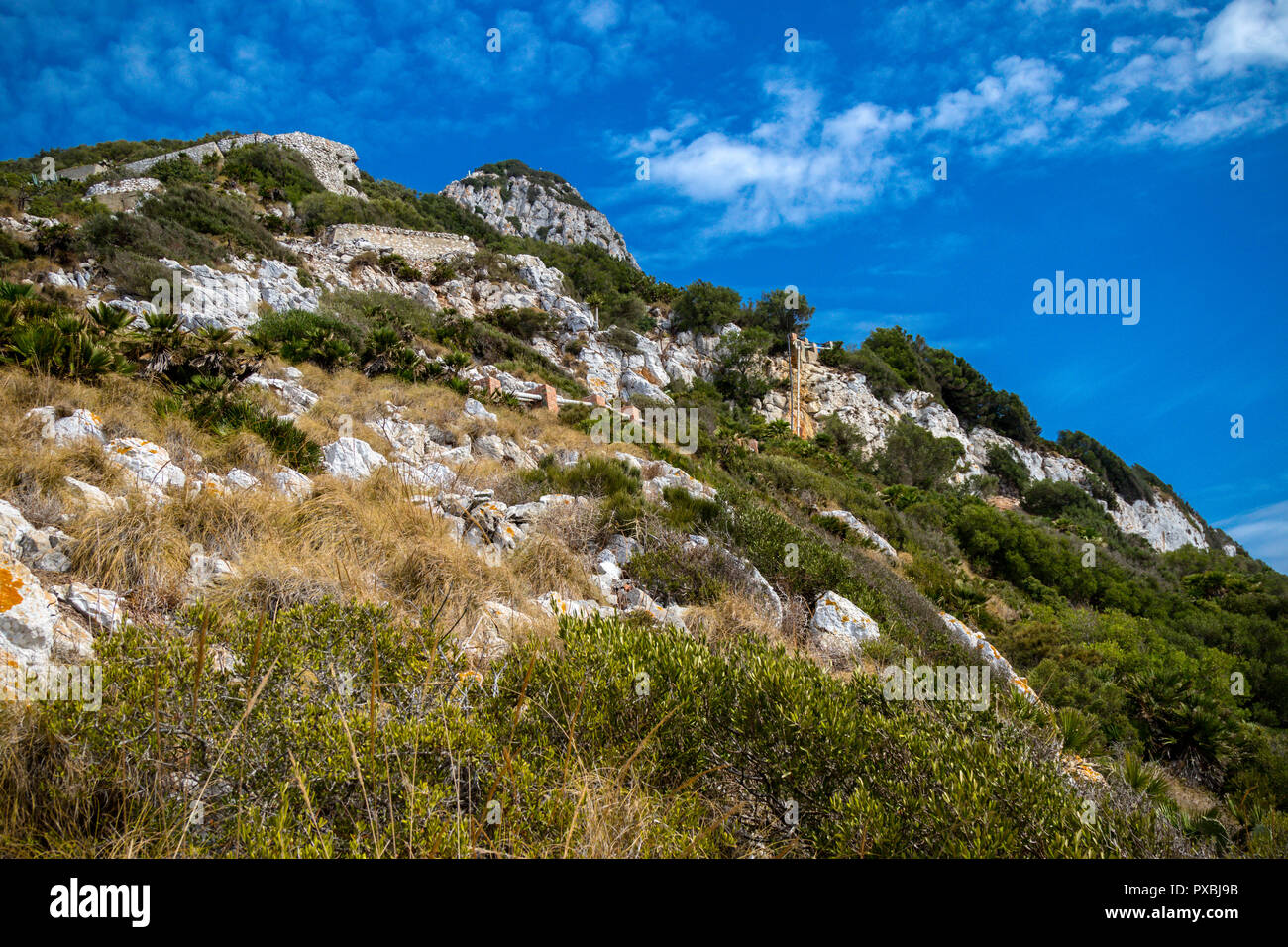 La Rocca di Gibilterra. Gibilterra è un British Overseas territorio situato sulla punta meridionale della Spagna Foto Stock