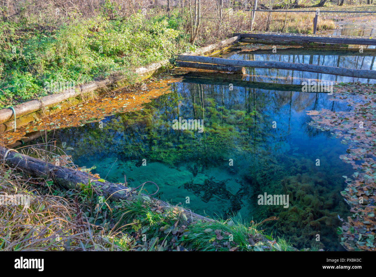 Popovsky fonte. Ugra parco nazionale. Riserva. Regione di Kaluga. La Russia Foto Stock