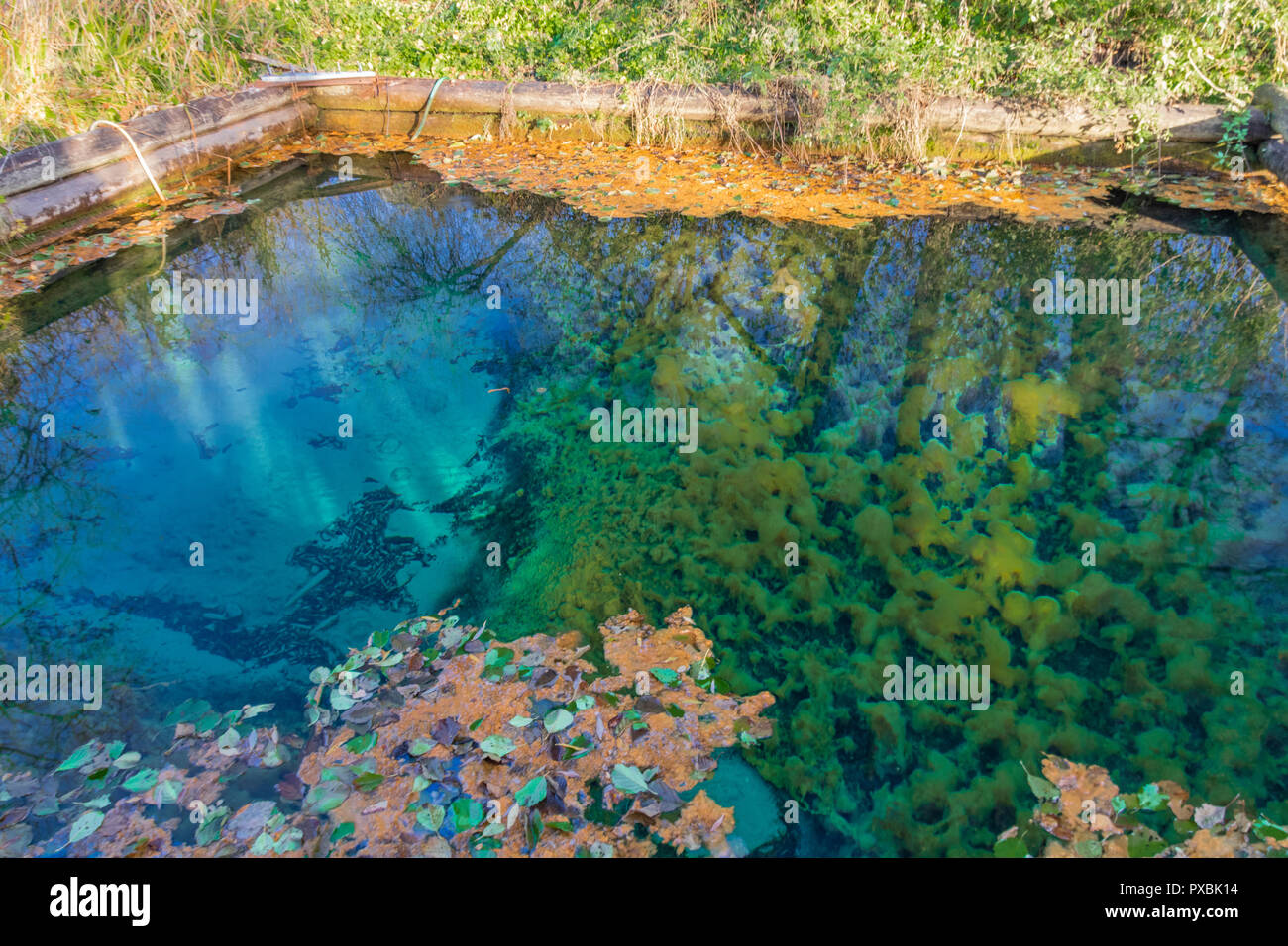 Popovsky fonte. Ugra parco nazionale. Riserva. Regione di Kaluga. La Russia Foto Stock