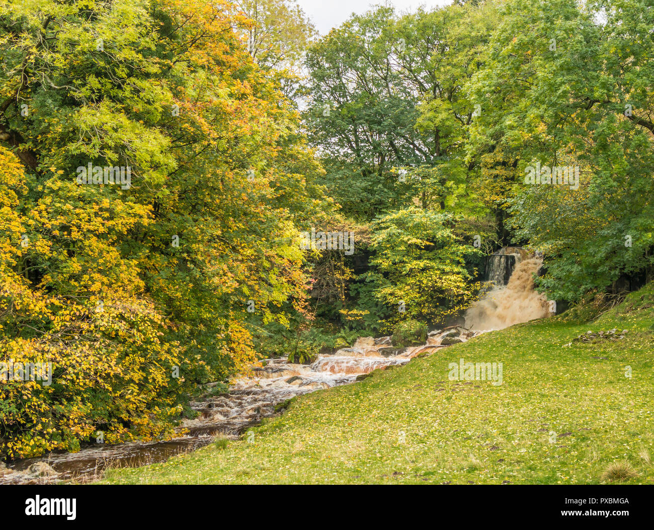 Yorkshire Dales National Park paesaggio autunnale, cicatrice House cascata, Thwaite, Swaledale, in ondata Foto Stock