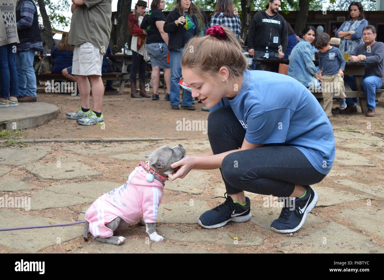 Austin, TX, Stati Uniti d'America. Xx oct, 2018. Cookie e Samantha diventare amici veloce al Little Darlin'. La Austin capelli facciali Club e il piccolo Darlin' alleata a mettere su il quinto annuale cane di barba e baffi la concorrenza per aumentare i finanziamenti e la consapevolezza per il bullo Ranch, un rifugio per pit bull e pit bull cani di tipo dove possono ricevere la riabilitazione, formazione e diventa infine valutati i membri di un amorevole famiglia per sempre. Credito: Glenn Ruthven/Alamy Live News Foto Stock