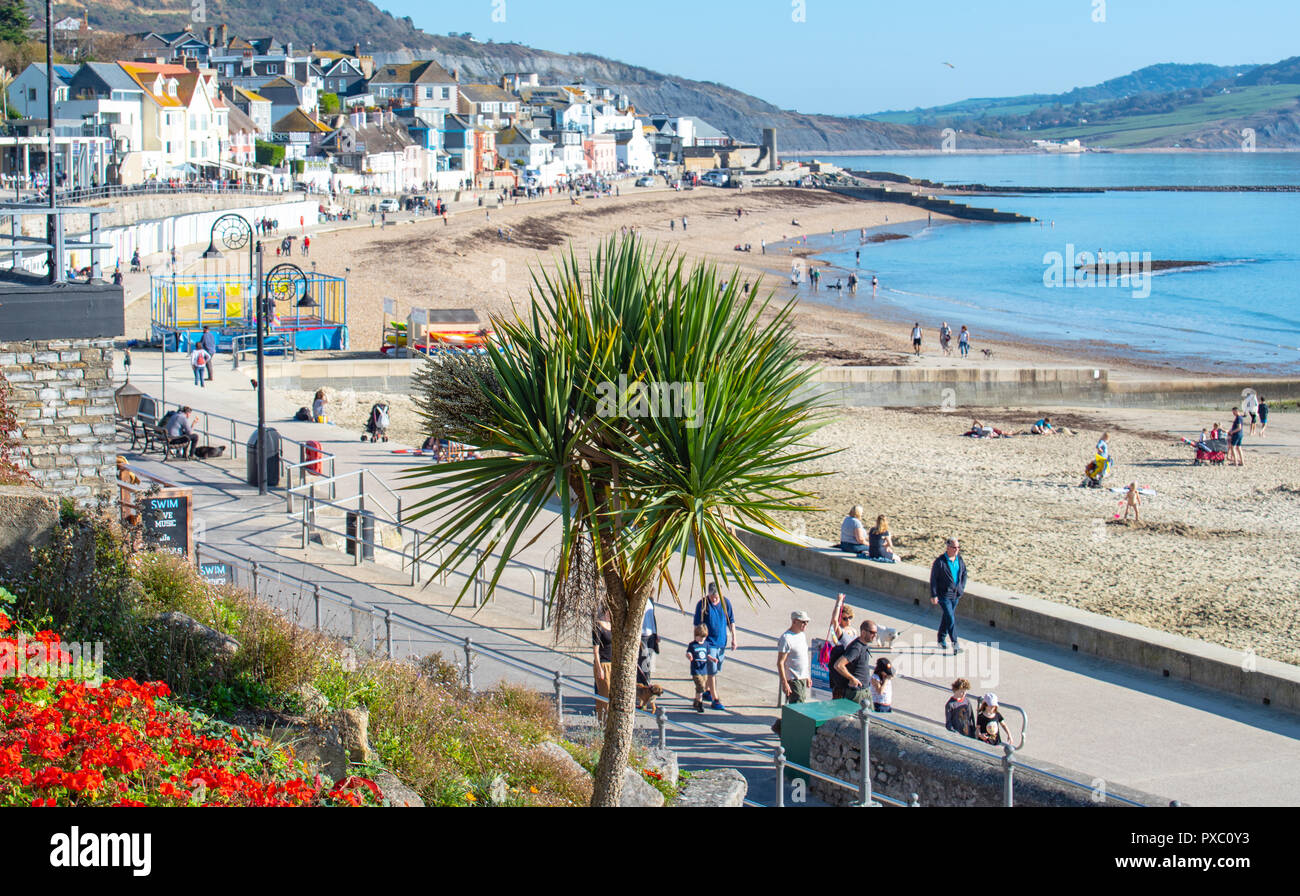 Lyme Regis, Dorset, Regno Unito. Il 21 ottobre 2018. Regno Unito: Meteo weekend caldo sole e cielo azzurro a Lyme Regis. La Gran Bretagna gode di un ultimo weekend di sole prima chilier, condizioni wintery arrivare e temperature cadono più tardi nel corso della settimana. Credito: Celia McMahon/Alamy Live News Foto Stock