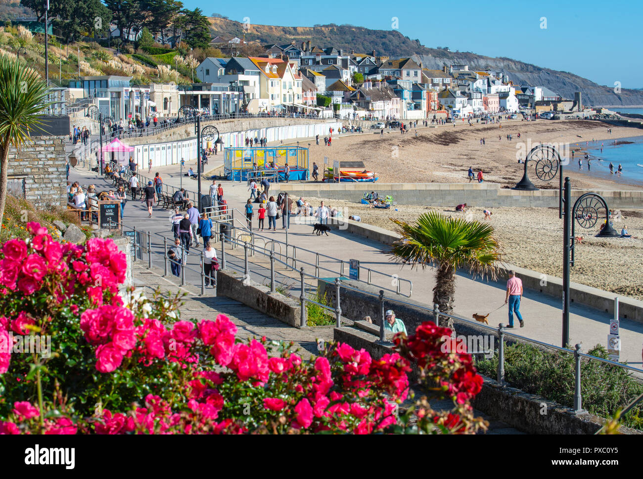 Lyme Regis, Dorset, Regno Unito. Il 21 ottobre 2018. Regno Unito: Meteo weekend caldo sole e cielo azzurro a Lyme Regis. La Gran Bretagna gode di un ultimo weekend di sole prima chilier, condizioni wintery arrivare e temperature cadono più tardi nel corso della settimana. Credito: Celia McMahon/Alamy Live News Foto Stock