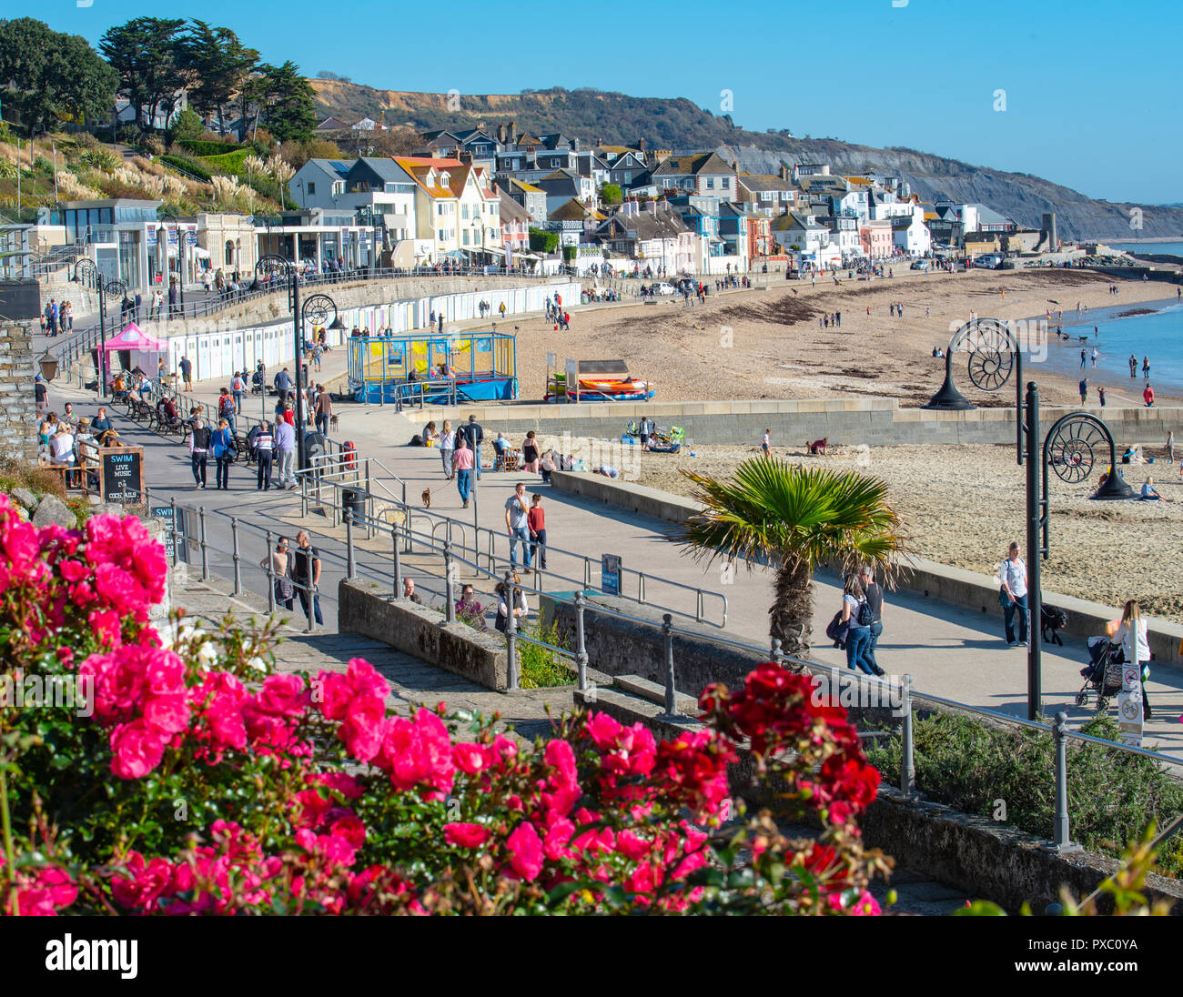 Lyme Regis, Dorset, Regno Unito. Il 21 ottobre 2018. Regno Unito: Meteo weekend caldo sole e cielo azzurro a Lyme Regis. La Gran Bretagna gode di un ultimo weekend di sole prima chilier, condizioni wintery arrivare e temperature cadono più tardi nel corso della settimana. Credito: Celia McMahon/Alamy Live News Foto Stock